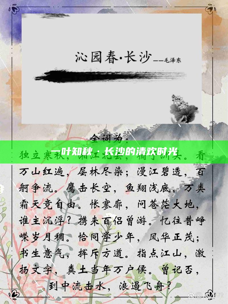 一叶知秋，长沙的清欢时光